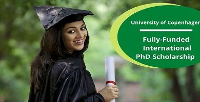 Photo of Pursuing Excellence PhD Scholarships to Achieve Your Academic Dreams